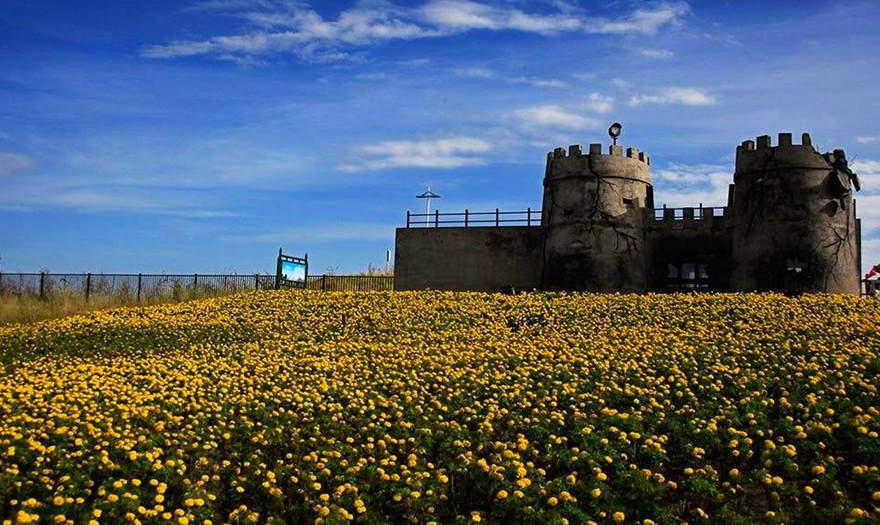 1583662282761859.jpg timg.jpg